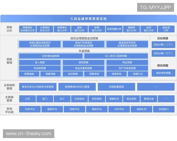 项目管理系统优化预算控制与执行流程